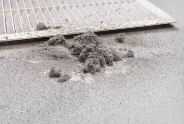 Best Home Air Vent Cleaning  in Gonzales, CA