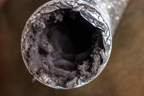Best Affordable Duct Cleaning Services  in Gonzales, CA